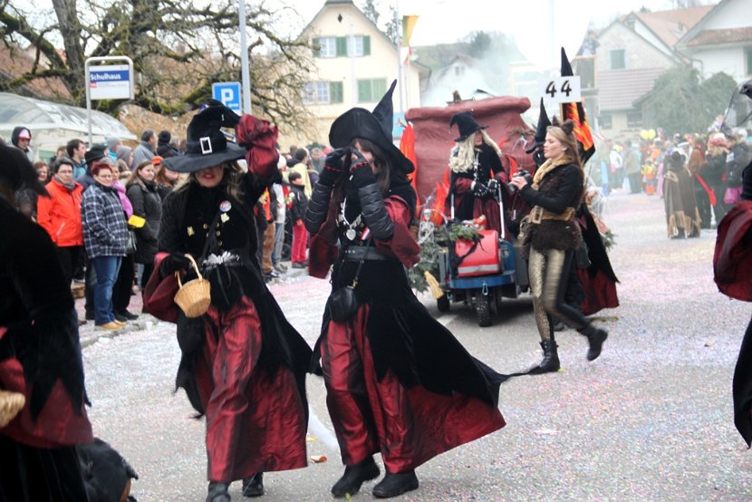 Sarmenstorf Fasnachtsumzug 16.02.2014 (182)